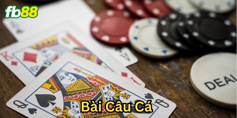 Bài Câu Cá là gì?
