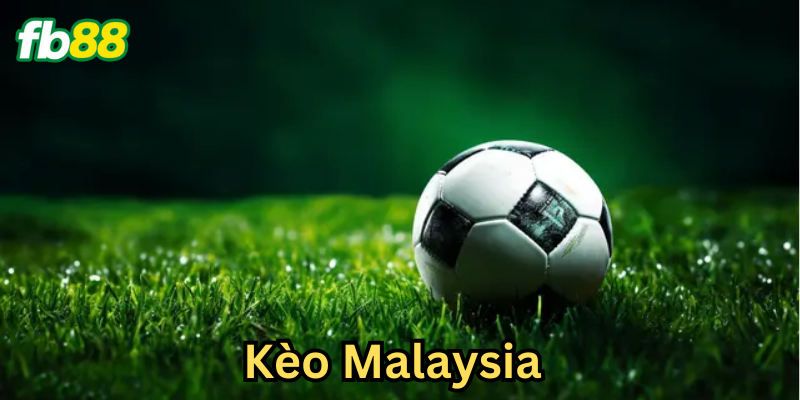 Cách cải thiện kèo