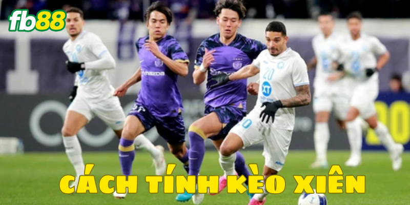 Cách Tính Kèo Xiên như thế nào?