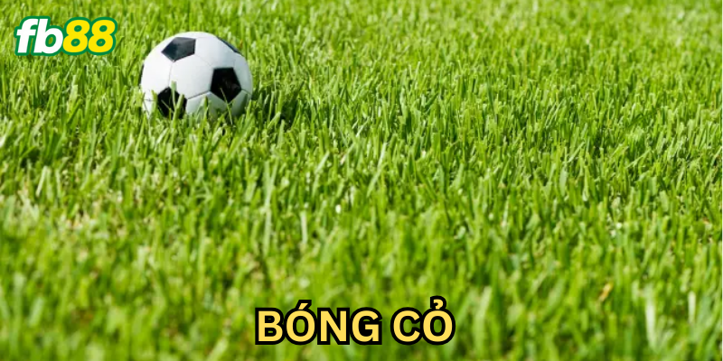 Chi tiết cách chơi kèo Bóng Cỏ