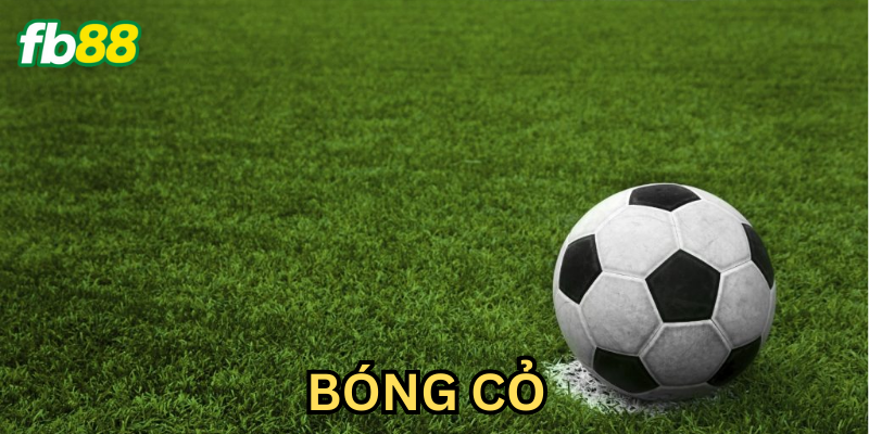 Giải thích về kèo bóng