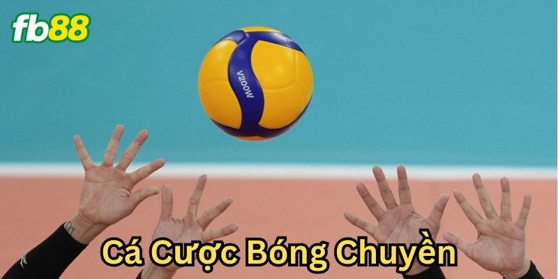 Hiểu về Cá Cược Bóng Chuyền