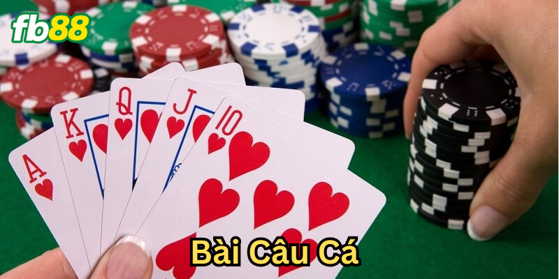 Hướng dẫn chi tiết cách chơi bài