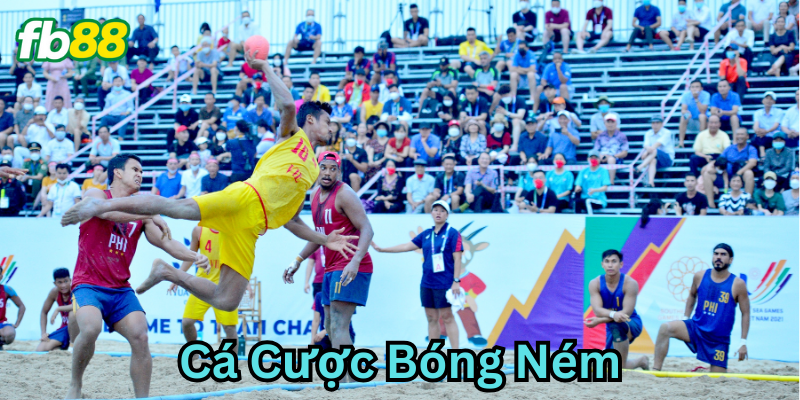 Hướng dẫn cho người mới chơi
