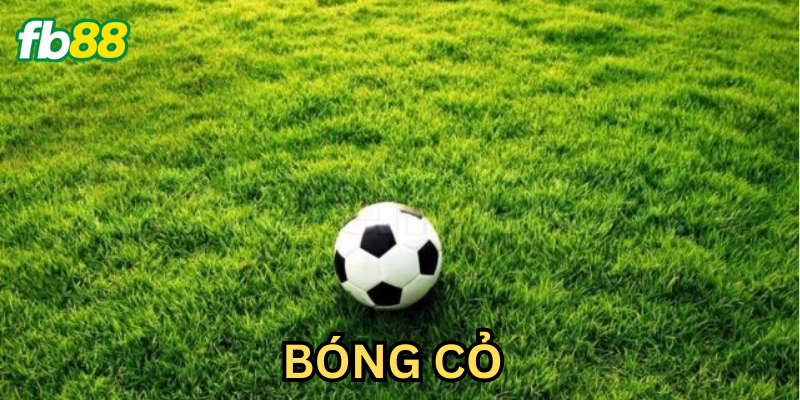 Kinh nghiệm cho người mới