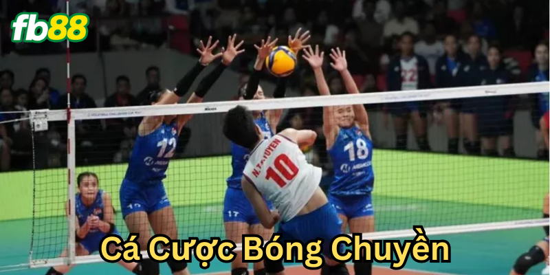Kinh nghiệm dành cho người mới