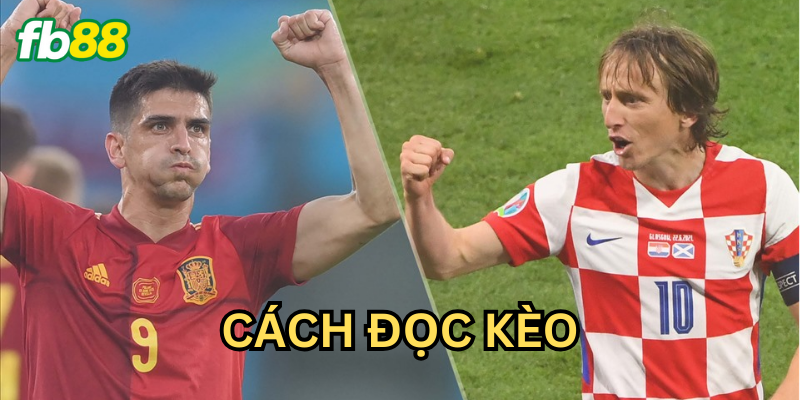Phân loại và cách đọc kèo